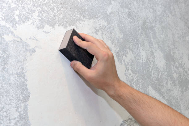 Best Water Damage & Mold Remediation  in Slayton, MN