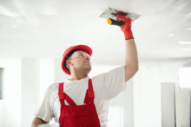 Best Crawl Space Mold Remediation  in Slayton, MN