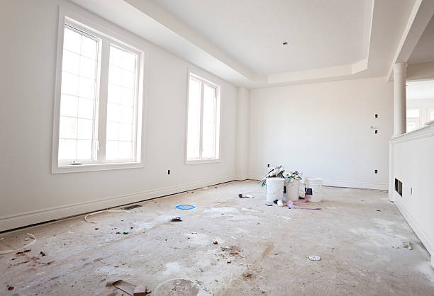 Best Mold Removal for HVAC Installations  in Slayton, MN