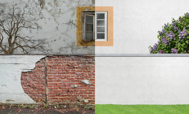 Reliable Slayton, MN Mold Removal Solutions