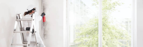 Best Residential Mold Inspection & Testing  in Slayton, MN